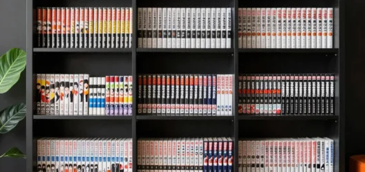 Monte uma estante otaku que deixe as figuras aparecerem